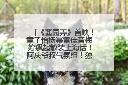 《酱园弄》首映！章子怡杨幂雷佳音梅婷飙起散装上海话！阿庆爷叔气氛组！独独没见他……