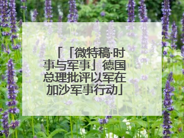 「微特稿·时事与军事」德国总理批评以军在加沙军事行动