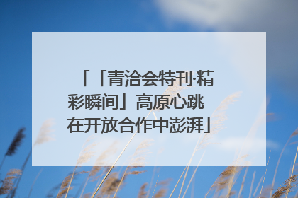 「青洽会特刊·精彩瞬间」高原心跳 在开放合作中澎湃