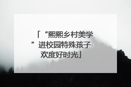 “熙熙乡村美学”进校园特殊孩子欢度好时光