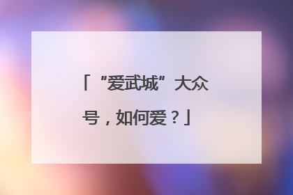 “爱武城”大众号，如何爱？