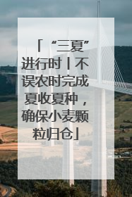 “三夏”进行时丨不误农时完成夏收夏种，确保小麦颗粒归仓