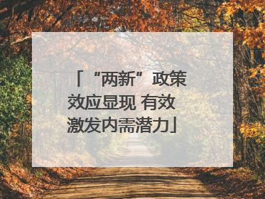“两新”政策效应显现 有效激发内需潜力