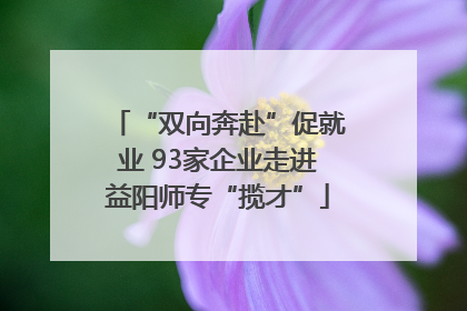 “双向奔赴”促就业 93家企业走进益阳师专“揽才”