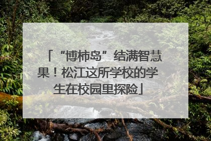 “博柿岛”结满智慧果！松江这所学校的学生在校园里探险