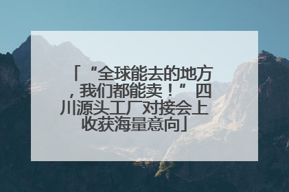 “全球能去的地方，我们都能卖！”四川源头工厂对接会上收获海量意向