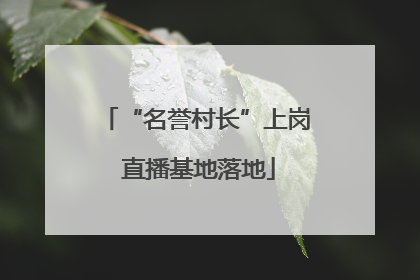 “名誉村长”上岗 直播基地落地