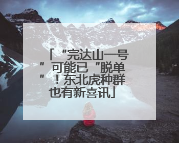 “完达山一号”可能已“脱单”！东北虎种群也有新喜讯