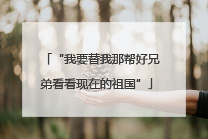 “我要替我那帮好兄弟看看现在的祖国”
