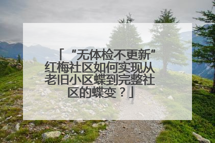 “无体检不更新”红梅社区如何实现从老旧小区蝶到完整社区的蝶变？