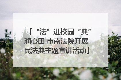 “法”进校园“典”润心田 市南法院开展民法典主题宣讲活动