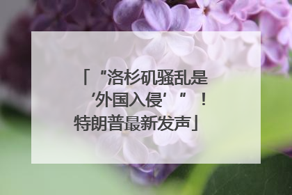 “洛杉矶骚乱是‘外国入侵’”！特朗普最新发声