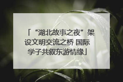 “湖北故事之夜”架设文明交流之桥 国际学子共叙东游情缘
