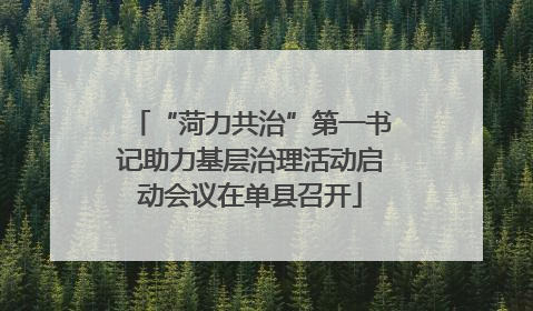 “菏力共治”第一书记助力基层治理活动启动会议在单县召开