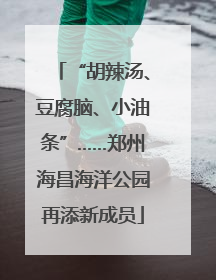 “胡辣汤、豆腐脑、小油条”……郑州海昌海洋公园再添新成员