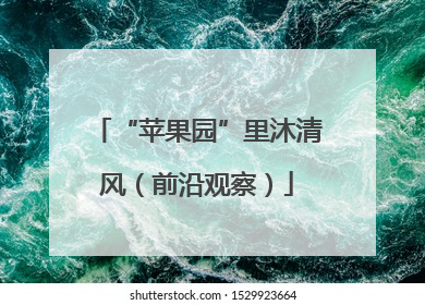 “苹果园”里沐清风（前沿观察）
