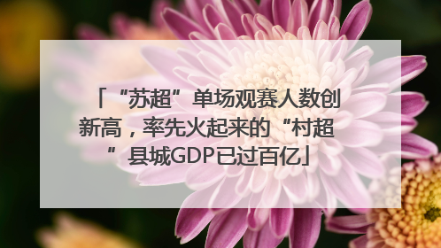 “苏超”单场观赛人数创新高，率先火起来的“村超”县城GDP已过百亿