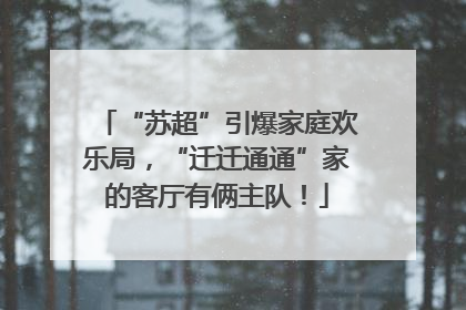“苏超”引爆家庭欢乐局，“迁迁通通”家的客厅有俩主队！