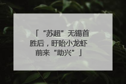 “苏超”无锡首胜后，盱眙小龙虾前来“助兴”