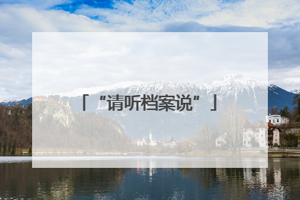 “请听档案说”
