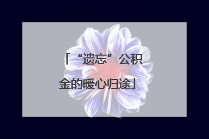 “遗忘”公积金的暖心归途