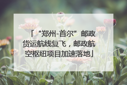 “郑州-首尔”邮政货运航线复飞，邮政航空枢纽项目加速落地