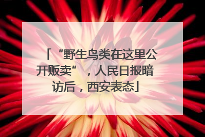 “野生鸟类在这里公开贩卖”，人民日报暗访后，西安表态