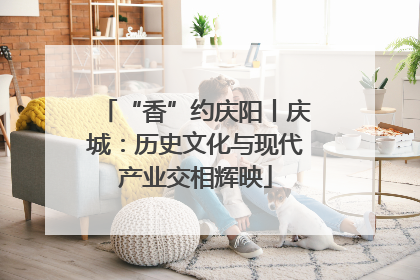 “香”约庆阳丨庆城：历史文化与现代产业交相辉映