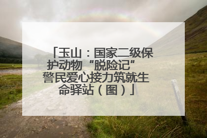 玉山：国家二级保护动物“脱险记” 警民爱心接力筑就生命驿站（图）