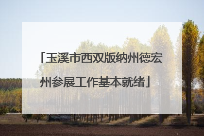 玉溪市西双版纳州德宏州参展工作基本就绪