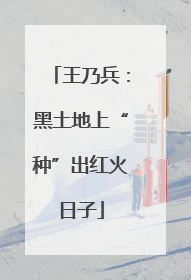 王乃兵：黑土地上“种”出红火日子