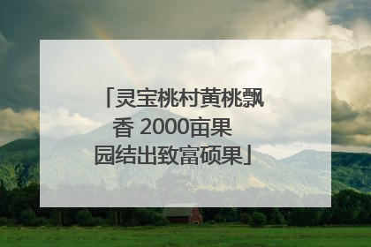 灵宝桃村黄桃飘香 2000亩果园结出致富硕果