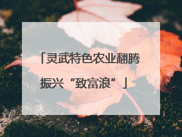 灵武特色农业翻腾振兴“致富浪”