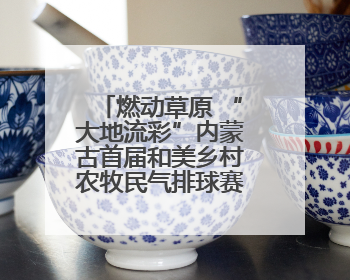 燃动草原 “大地流彩”内蒙古首届和美乡村农牧民气排球赛开赛