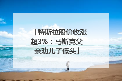 特斯拉股价收涨超3%：马斯克父亲劝儿子低头