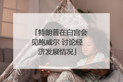 特朗普在白宫会见鲍威尔 讨论经济发展情况