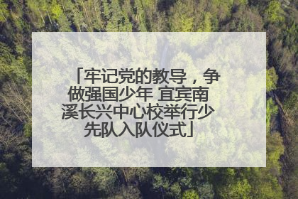 牢记党的教导，争做强国少年 宜宾南溪长兴中心校举行少先队入队仪式