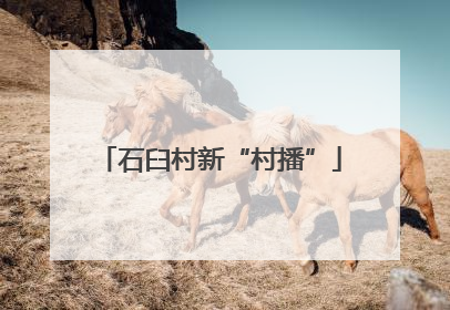 石臼村新“村播”