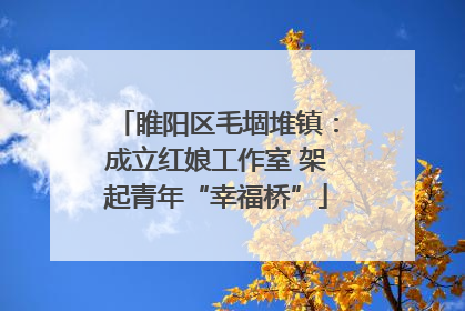 睢阳区毛堌堆镇：成立红娘工作室 架起青年“幸福桥”