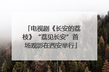 电视剧《长安的荔枝》“荔见长安”首场观影在西安举行