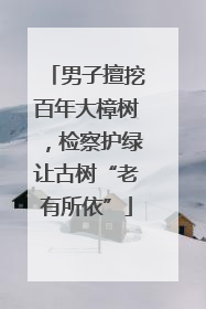 男子擅挖百年大樟树，检察护绿让古树“老有所依”