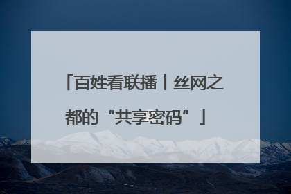 百姓看联播丨丝网之都的“共享密码”