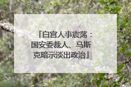白宫人事震荡：国安委裁人、马斯克暗示淡出政治