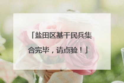 盐田区基干民兵集合完毕，请点验！