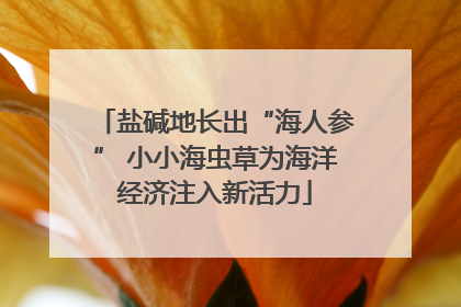 盐碱地长出“海人参” 小小海虫草为海洋经济注入新活力
