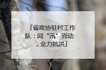 省政协驻村工作队：闻“汛”而动，全力抗洪