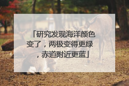 研究发现海洋颜色变了，两极变得更绿，赤道附近更蓝