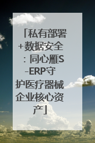 私有部署+数据安全：同心雁S-ERP守护医疗器械企业核心资产