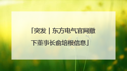 突发｜东方电气官网撤下董事长俞培根信息