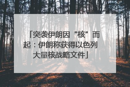 突袭伊朗因“核”而起：伊朗称获得以色列大量核战略文件